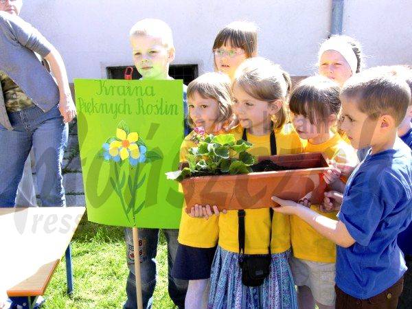 Ekologiczna  podróż
