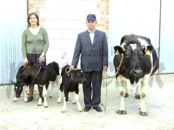 Hodowla nagle powiększona