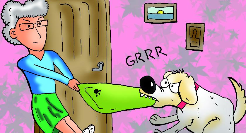 Magiczna prowincja – odcinek 40: o najlepszym z miast i próbie eksmisji…