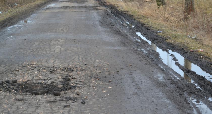 Drogowiska ciąg dalszy - Wycinki