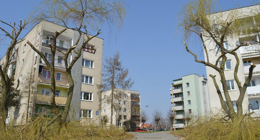 Były piękne wierzby...