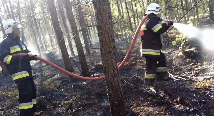 Długi weekend w strażackiej pigułce