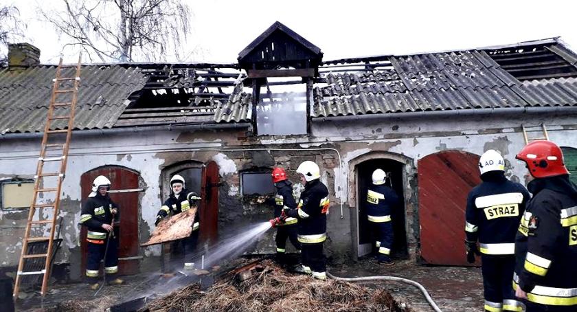 Strażackie dni w pigułce