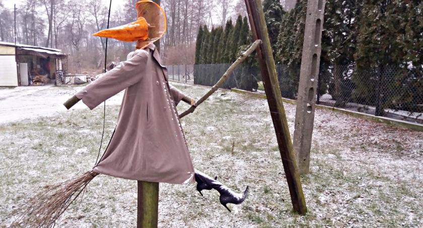 Płońszczak NA DOBRY DZIEŃ - 21.02.2019