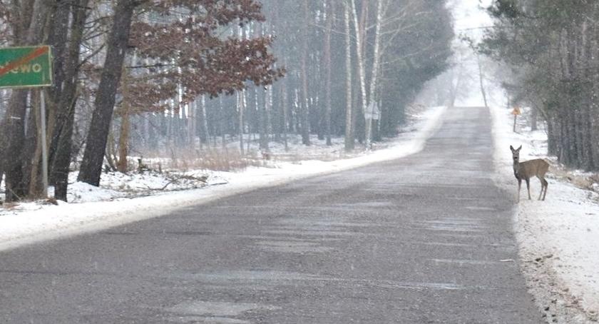 Płońszczak NA DOBRY DZIEŃ - 22.02.2019