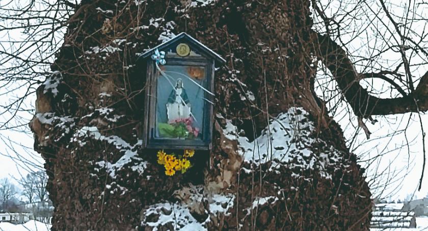 Płońszczak NA DOBRY DZIEŃ - 24.02.2019