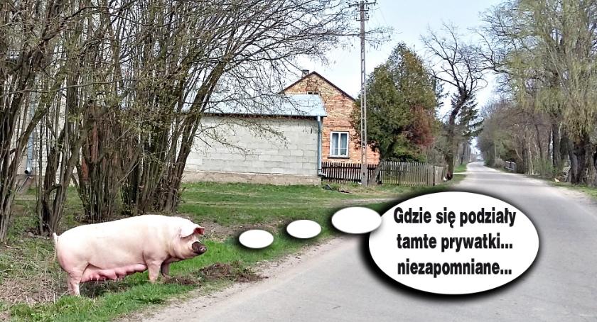 Płońszczak NA DOBRY DZIEŃ – macie ochotę na zabawę?