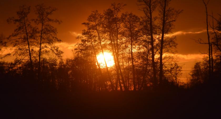 Płońszczak NA DOBRY DZIEŃ - 4.03.2019