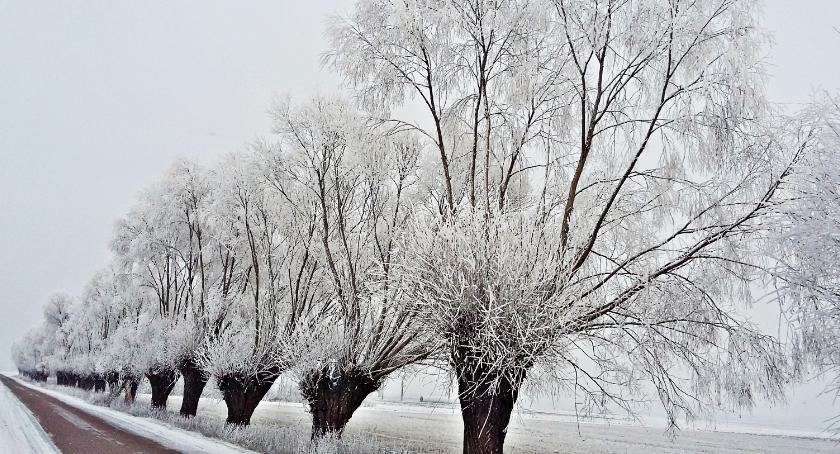 Płońszczak NA DOBRY DZIEŃ - 20.03.2019