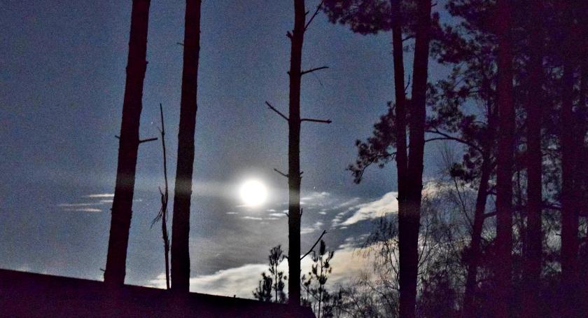 Płońszczak NA DOBRY DZIEŃ - 25.03.2019