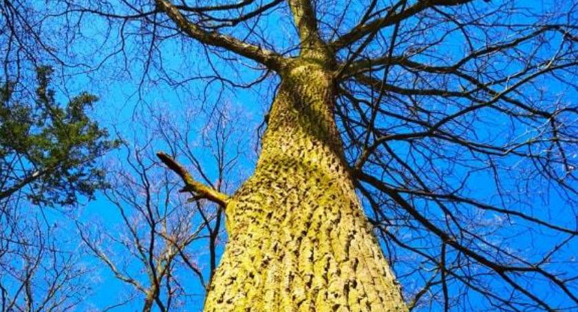 Płońszczak NA DOBRY DZIEŃ - 30.03.2019