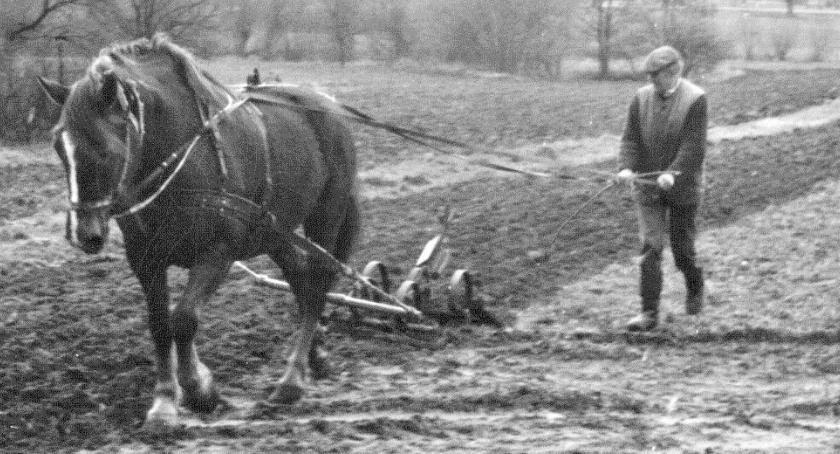 Płońszczak NA DOBRY DZIEŃ - 4.04.2019