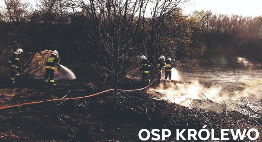 Strażackie dni w pigułce - dużo pożarów traw