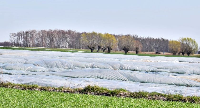 Płońszczak NA DOBRY DZIEŃ - 11.04.2019