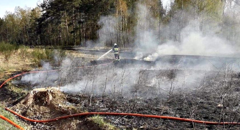 Strażackie dni w pigułce - nadal sucho i pożarowo groźnie