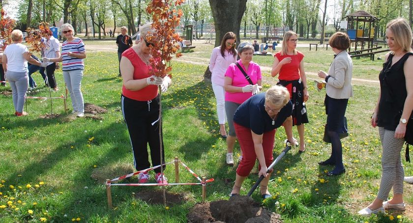 Klony i głogi już rosną