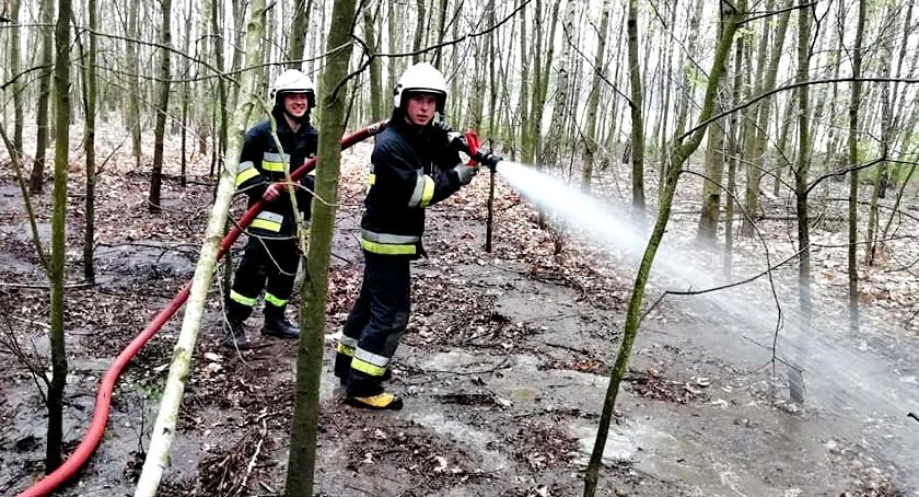 Strażackie dni w pigułce