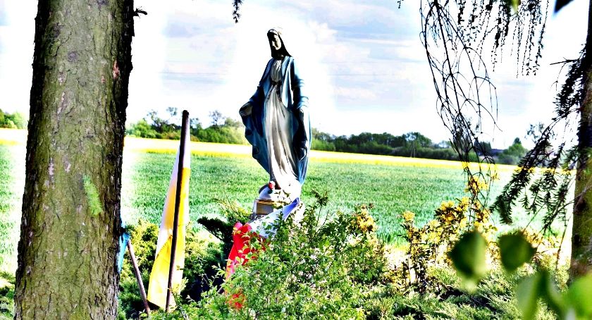 Płońszczak NA DOBRY DZIEŃ - 5.05.2019