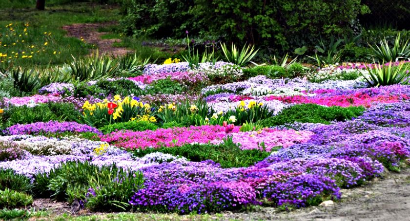 Płońszczak NA DOBRY DZIEŃ - 10.05.2019