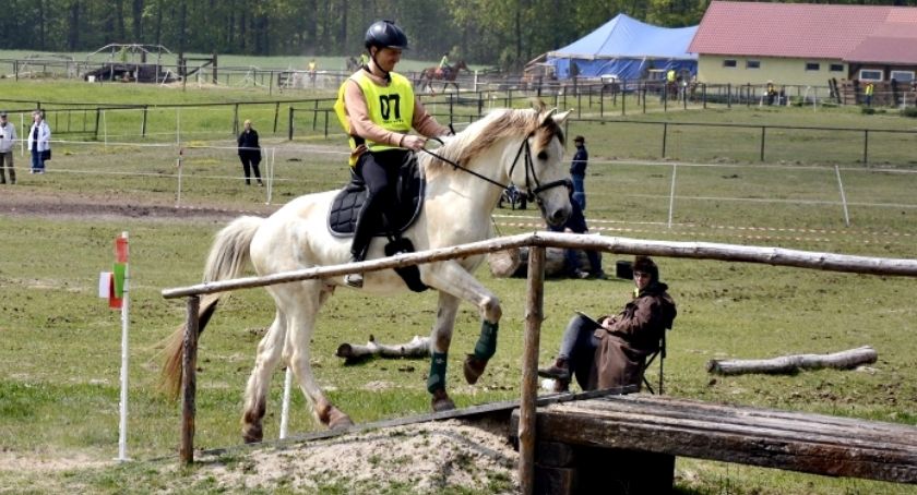 Wszechstronny konkurs konia turystycznego w Strzembowie