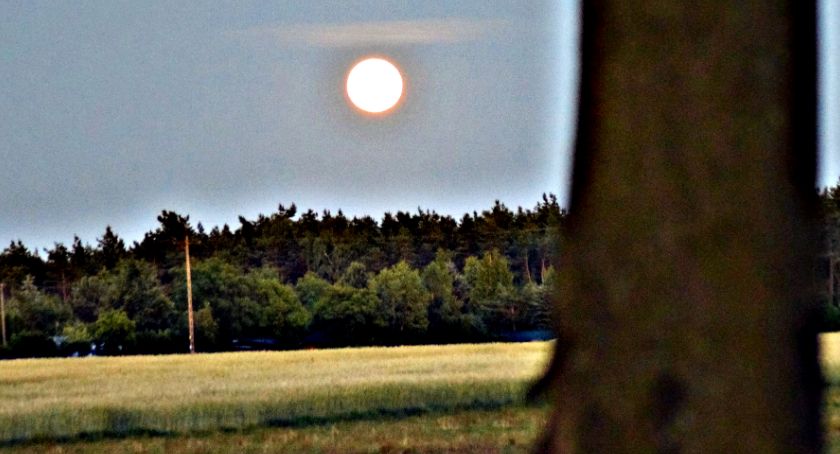 Płońszczak NA DOBRY DZIEŃ - 22.06.2019