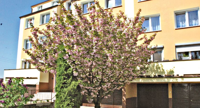 Płońszczak DO JUTRA, czyli wspominajka - 2.07.2019