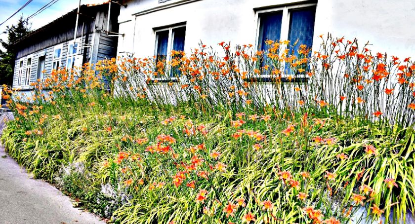 Płońszczak NA DOBRY DZIEŃ - 3.07.2019