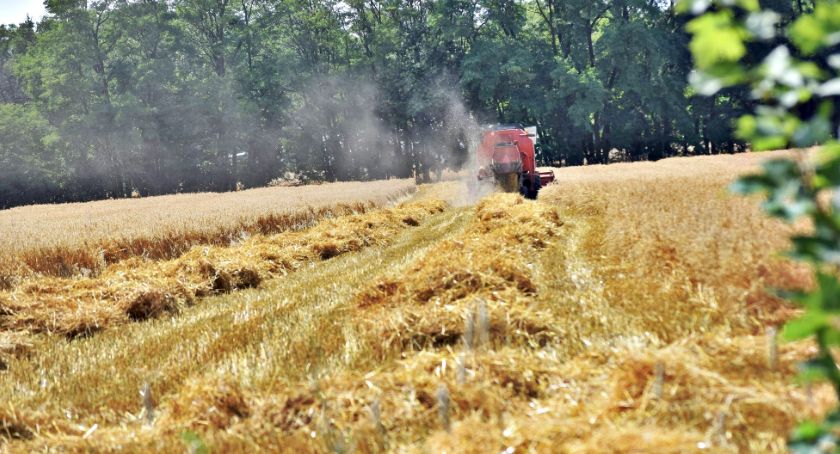 Płońszczak NA DOBRY DZIEŃ - 22.07.2019
