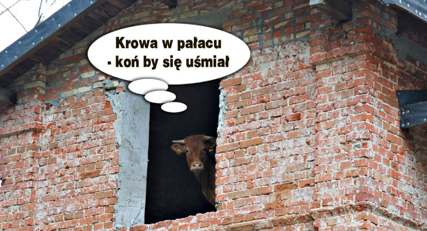 Płońszczak NA DOBRY DZIEŃ - 24.07.2019 - EKSTRA