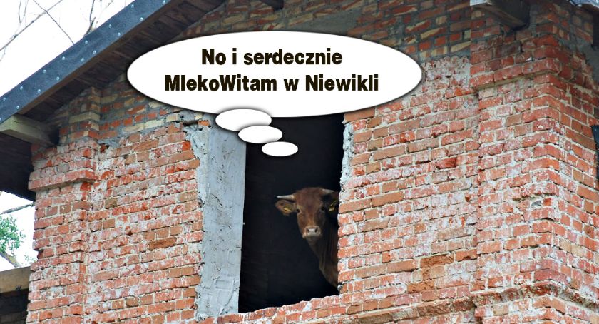 Jak zostać celebrytką, czyli sławna Mućka z Niewikli…