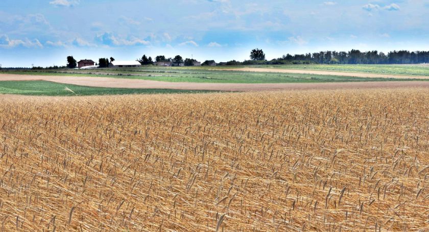 Płońszczak NA DOBRY DZIEŃ - 29.07.2019