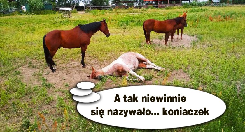 Płońszczak NA DOBRY DZIEŃ - 9.08.2019