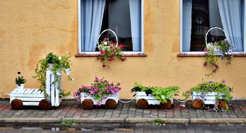 Płońszczak NA DOBRY DZIEŃ - 24.08.2019