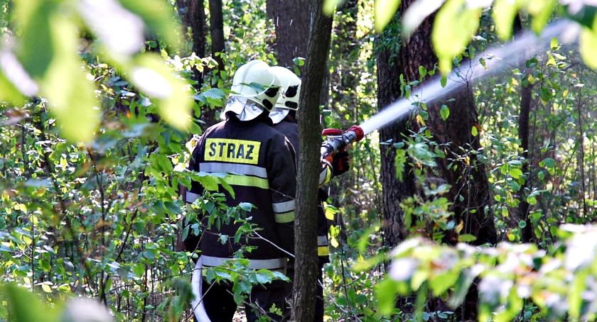 Leśna akcja strażaków w Kępie - na szczęście ćwiczebna