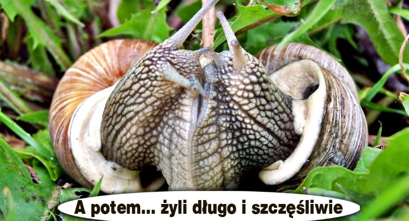 Płońszczak NA DOBRY DZIEŃ - 31.08.2019