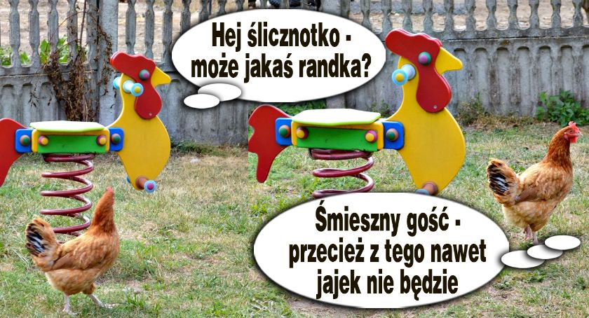 Płońszczak NA DOBRY DZIEŃ - 13.09.2019