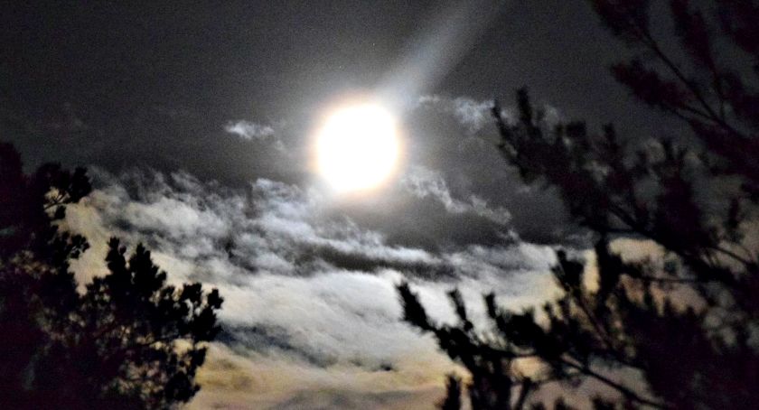 Płońszczak NA DOBRY DZIEŃ - 14.09.2019