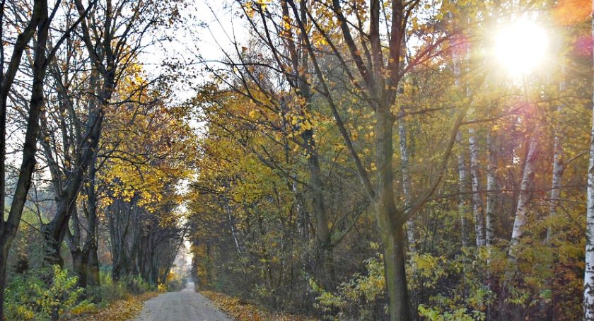 Płońszczak NA DOBRY DZIEŃ - 23.09.2019