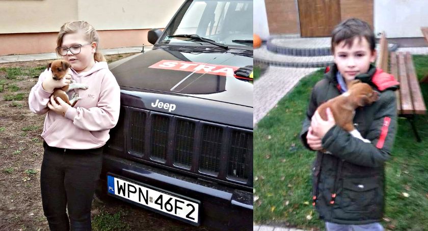 Brawa dla uczniów z Grodźca - znaleziony piesek znalazł dom