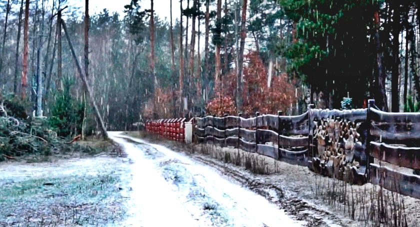 Płońszczak NA DOBRY DZIEŃ - 7.01.2020