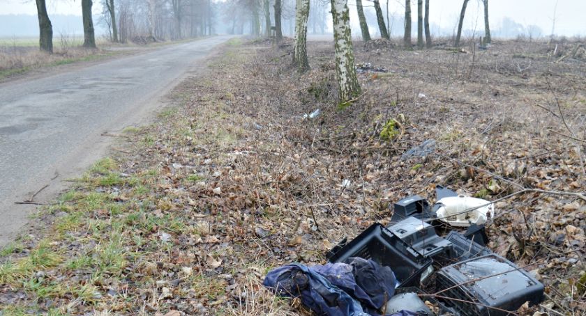 Piękne „kwiatki” przy drodze Drożdżyn - Wycinki