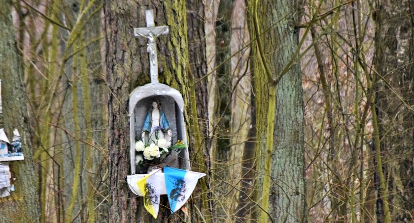 Płońszczak NA DOBRY DZIEŃ - 16.02.2020