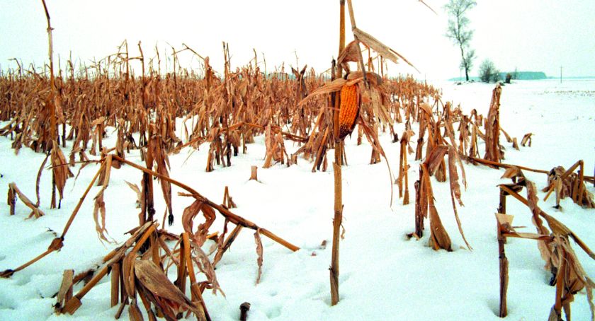 Płońszczak DO JUTRA, czyli wspominajka - 15.02.2020