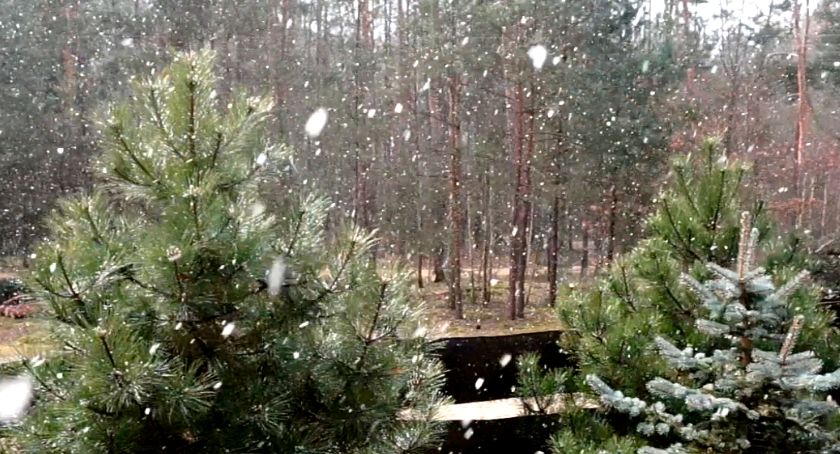 Płońszczak NA DOBRY DZIEŃ - 31.03.2020