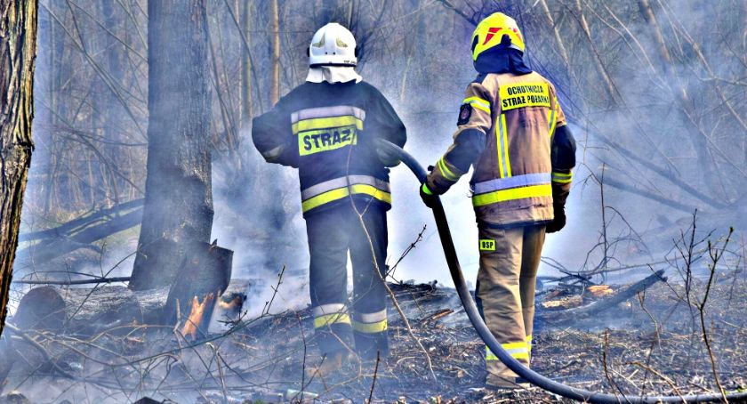 Gasili nielegalne wysypisko w Krajęczynie