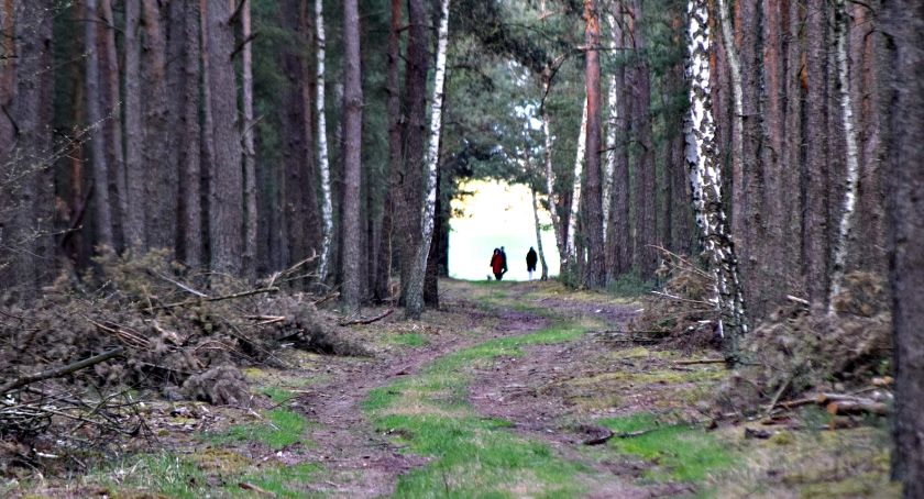 Płońszczak NA DOBRY DZIEŃ - 20.04.2020