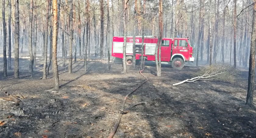Królewscy strażacy - ku przestrodze - wspominają wielki leśny pożar