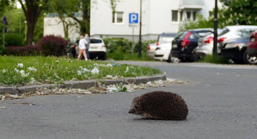 ZOO na Potoku