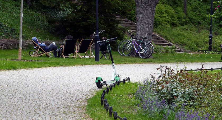 Gdzie jest ogródek?