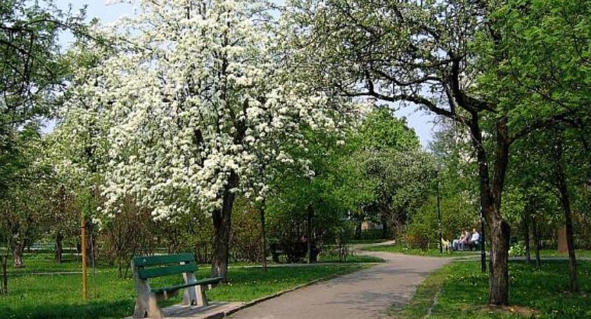 Park Sady Żoliborskie - nowe zajęcia 